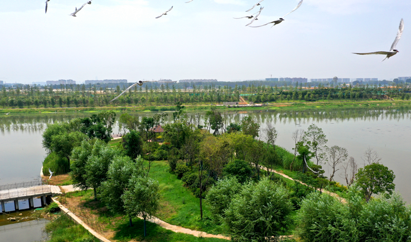 祝贺！郑州荣膺“国家生态园林城市”称号
